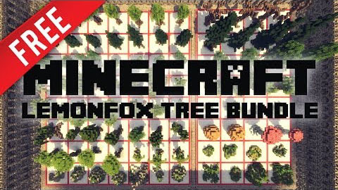 Tree Bundle Map