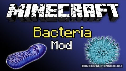Bacteria