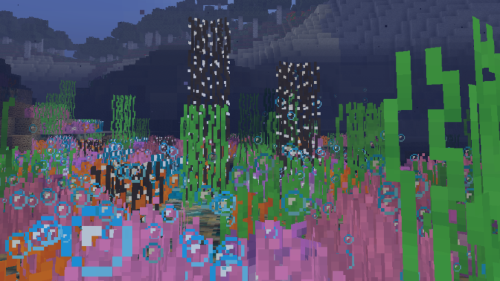 CoralReef