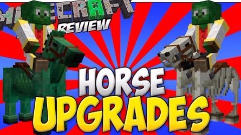 Horse Upgrades