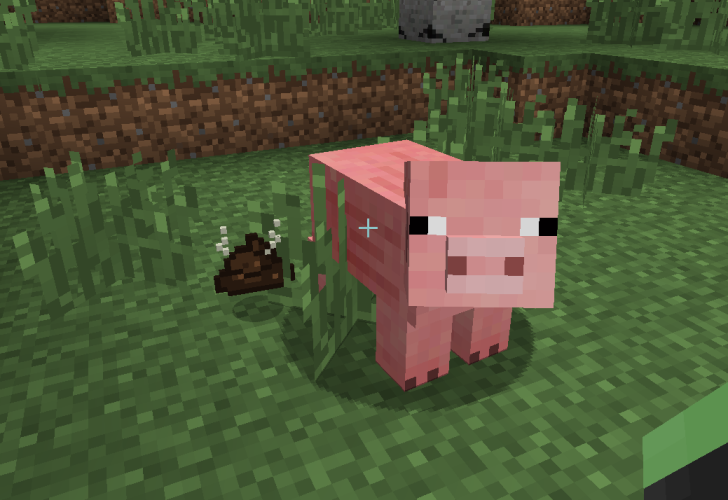 Pig Manure