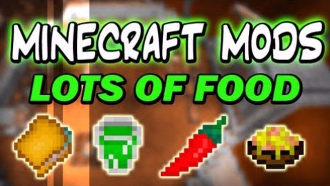 Lots of Food