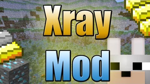 XRay (Fly)