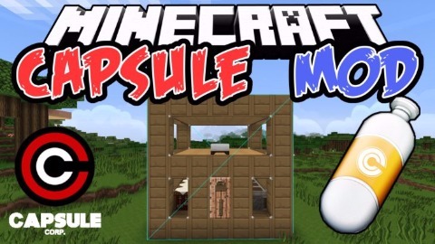 Capsule