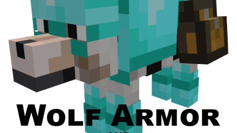 Wolf Armor and Storage