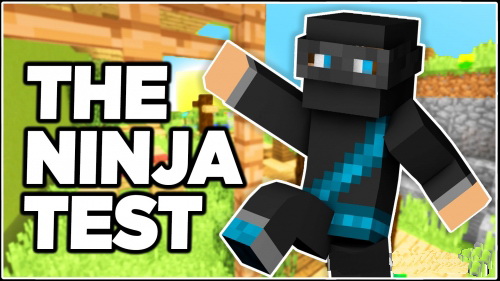 Are You a Ninja 2