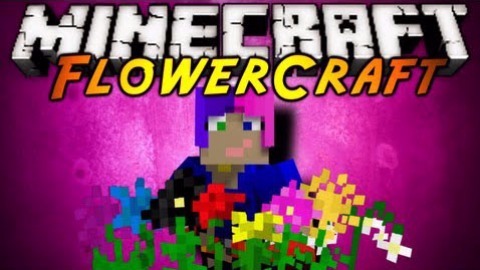 Flowercraft