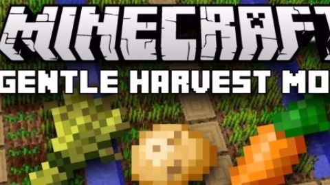 Gentle Harvest