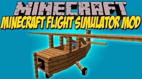 Flight Simulator