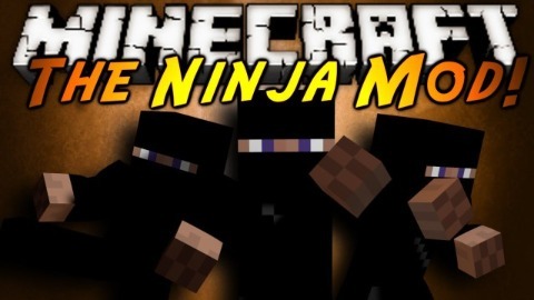The Ninja